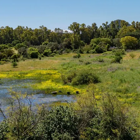 Stanatura-3 By Interhome Appartement