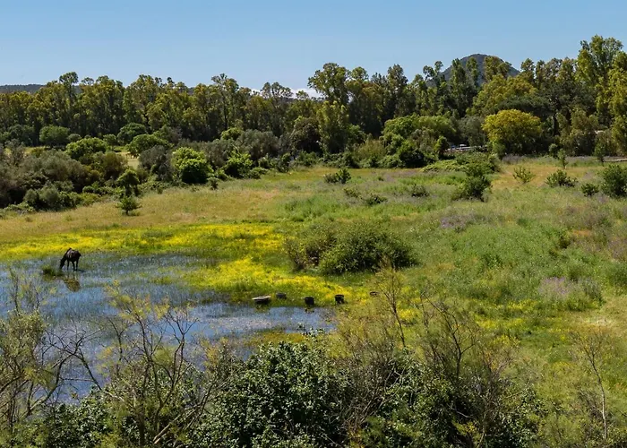 Stanatura-3 By Interhome 公寓